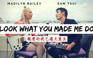 友基zz在线视频,揭秘智能交互新体验